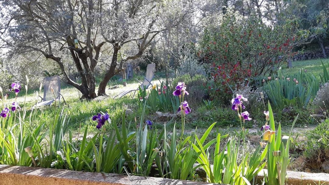 Villa Loucabanon Var Draguignan Exterior foto