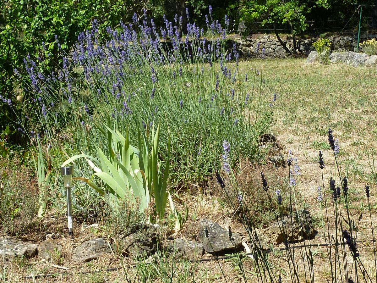 Villa Loucabanon Var Draguignan Exterior foto